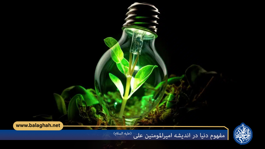 مفهوم دنیا در اندیشه امیرالمومنین علی (علیه السلام)