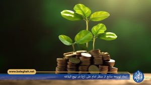 ابعاد توسعه منابع از منظر امام علی (ع) در نهج البلاغه