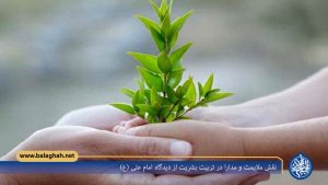 نقش ملایمت و مدارا در تربیت بشریت از دیدگاه امام علی (ع)