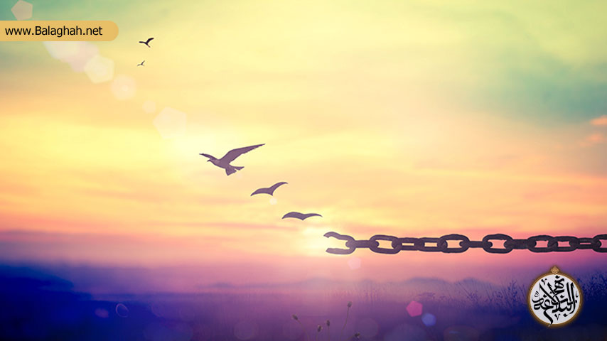 آزادی فطری انسان در دورانهای مختلف زندگی از دیدگاه مکتب علوی