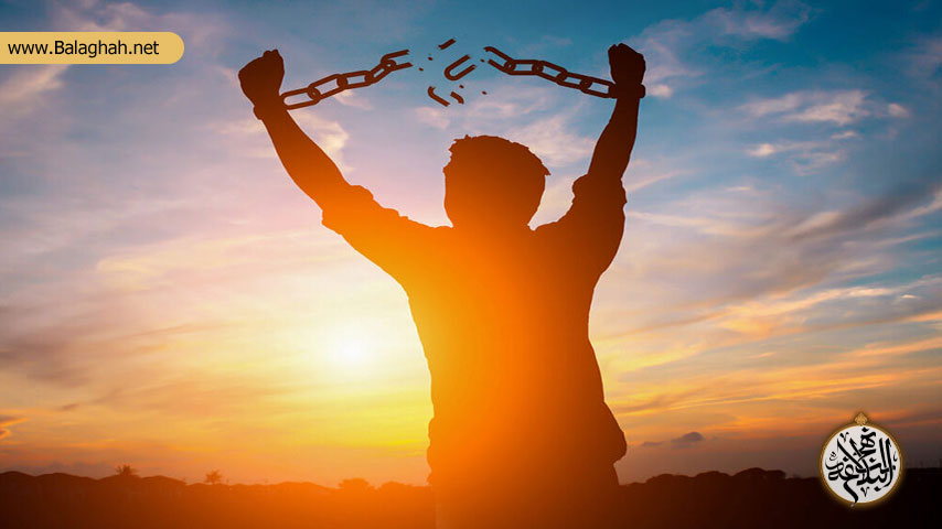تحقق آزادی حقیقی انسان در گرو قانون مداری الهی