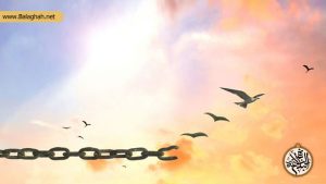 اصل آزادی در پرتو قانونگذاری اجتماعی در حکومت علوی