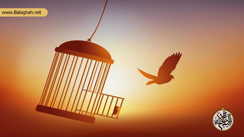 ایجاد آزادی پایدار با تقویت روح آزادی معنوی در سیره علوی