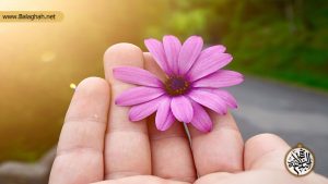 زیبایی ها و جمال ظاهری انسان از منظر نهج البلاغه