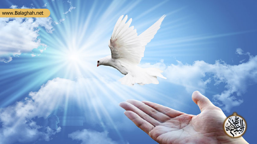 آثار عفو و بخشش بر خویشتن در پرتو سیره علوی و نهج البلاغه