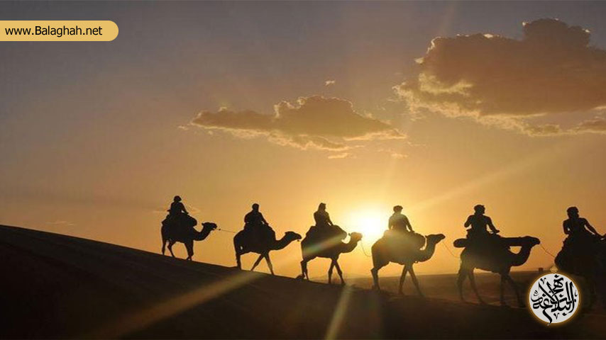 حقوق حیوانات با استناد بر نامه 25 نهج البلاغه