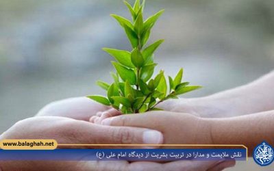 نقش ملایمت و مدارا در تربیت بشریت از دیدگاه امام علی (ع)